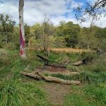 Hohneke Pond site #1