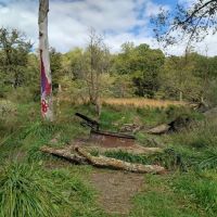 Hohneke Pond site #1 ico