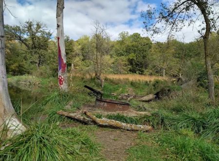Hohneke Pond site #1