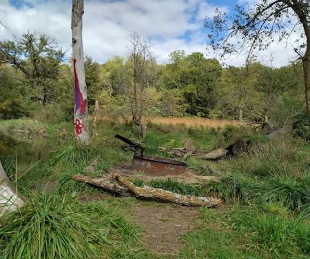 Hohneke Pond site #1