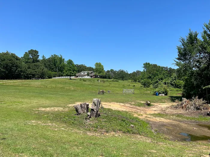 Highway 155 RV Park Picture 8