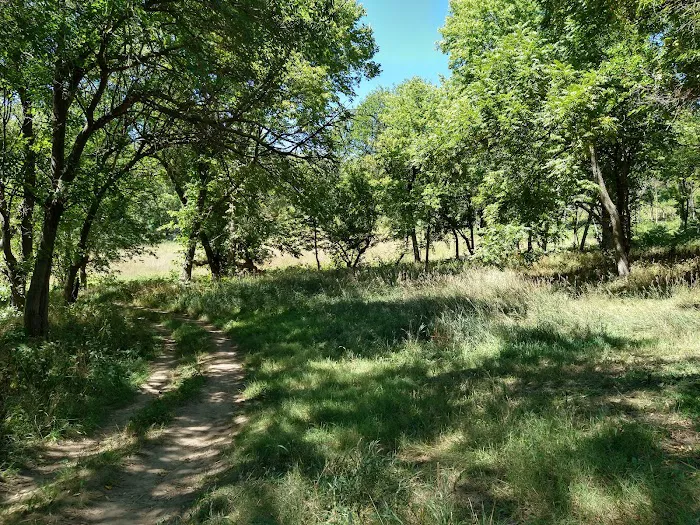 Badger Ridge Campsite Picture 5