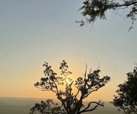 High Point Campsite
