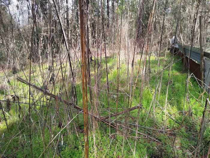 Sleepy Hollow Mobile Home Park Picture 9