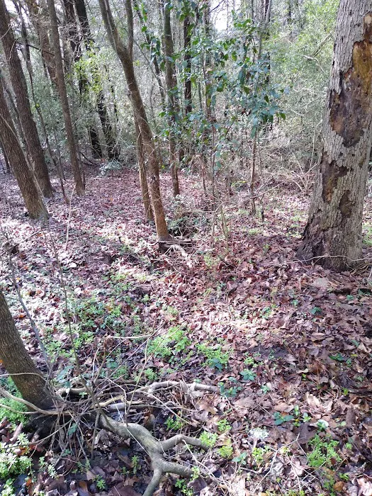 Sleepy Hollow Mobile Home Park Picture 10