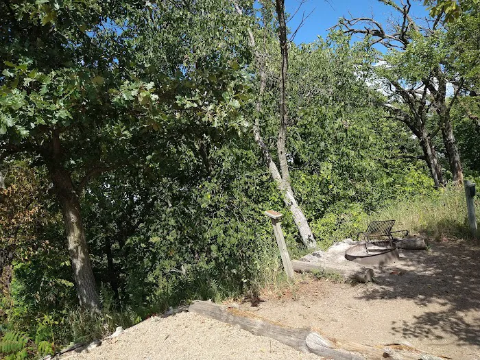 Cottonwood Campsite Picture 6