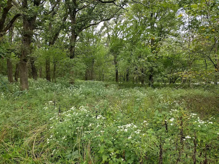 Dammann Oaks Campground Picture 8