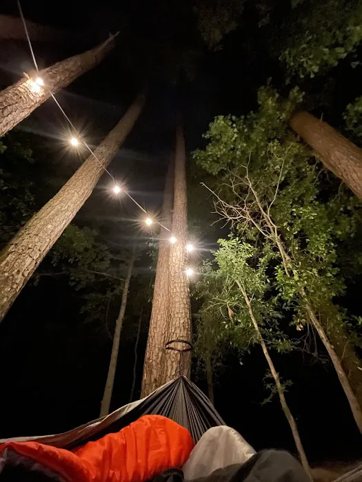 Rustic Pine RV Resort Picture 5
