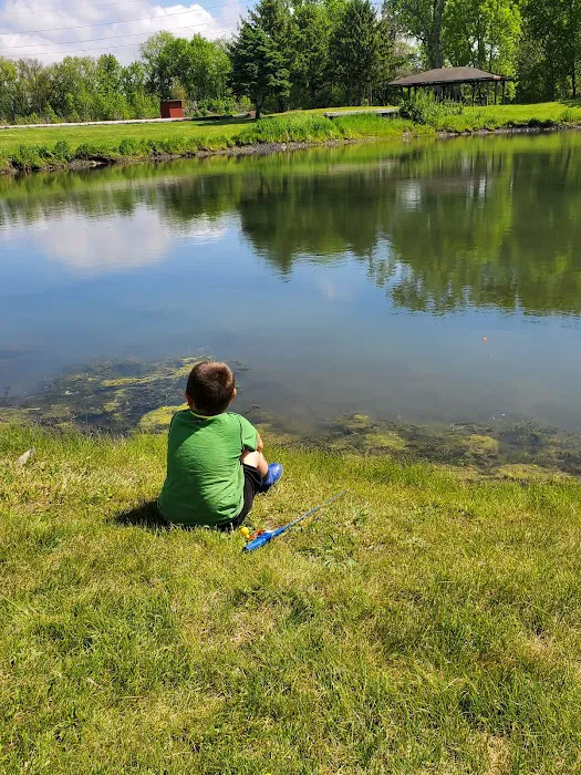 Boehner Pond Campground Picture 6
