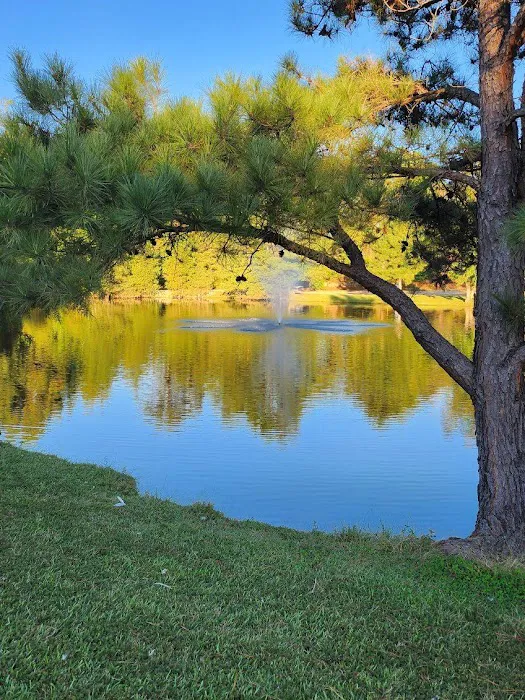 Magnolia RV Park Picture 9