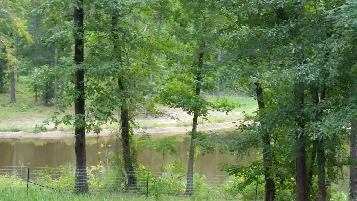 Blue Pond RV Park Picture 5