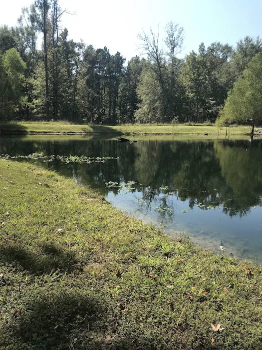 Blue Pond RV Park Picture 8