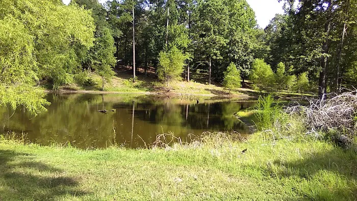 Blue Pond RV Park Picture 7