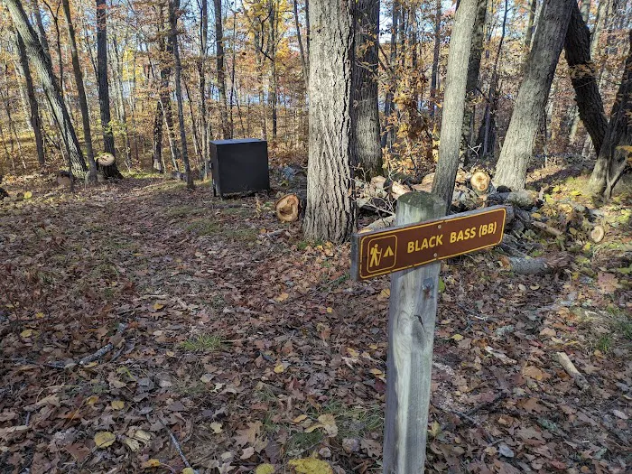 Black Bass Lake Backpacking Site Picture 4
