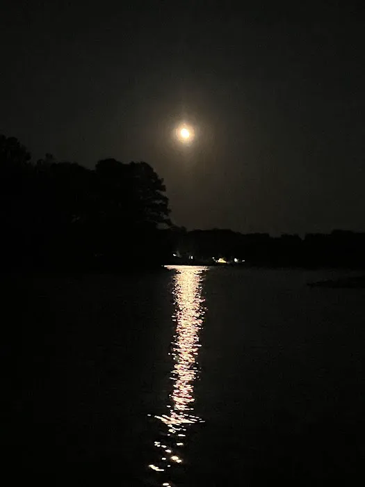 Converse Bay RV Park Picture 3