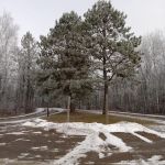Equestrian Campground