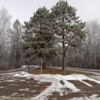 Equestrian Campground ico