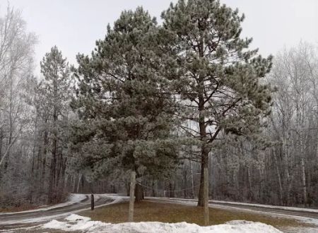 Equestrian Campground