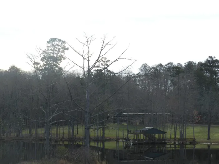 Busters Private RV Park Picture 6