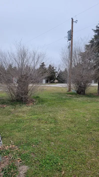 Shady Lane RV Park Picture 4