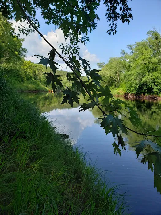 Banning State Park Campground Picture 9