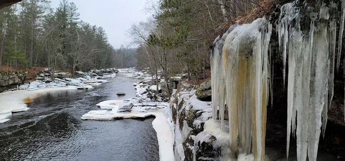 Banning State Park Campground Picture 8