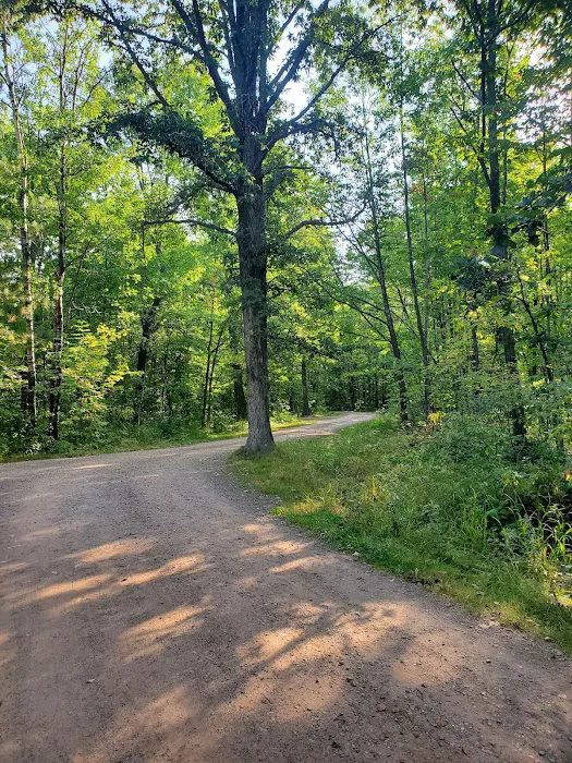 Banning State Park Campground Picture 10