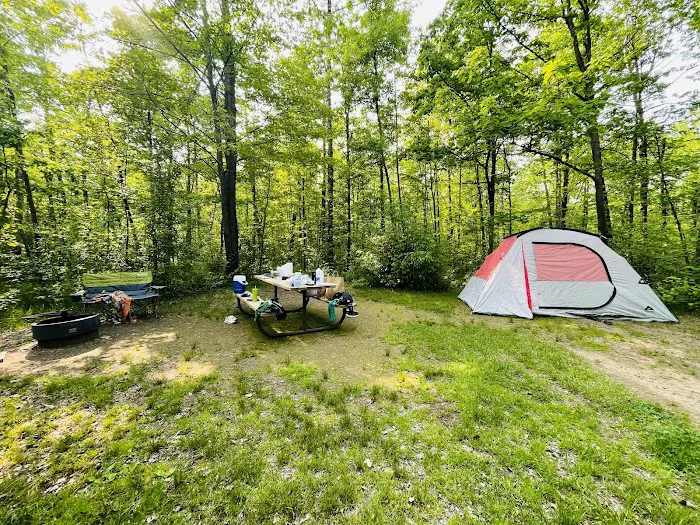 Banning State Park Campground Picture 3