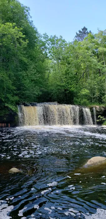 Banning State Park Campground Picture 1