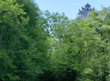 Banning State Park Campground