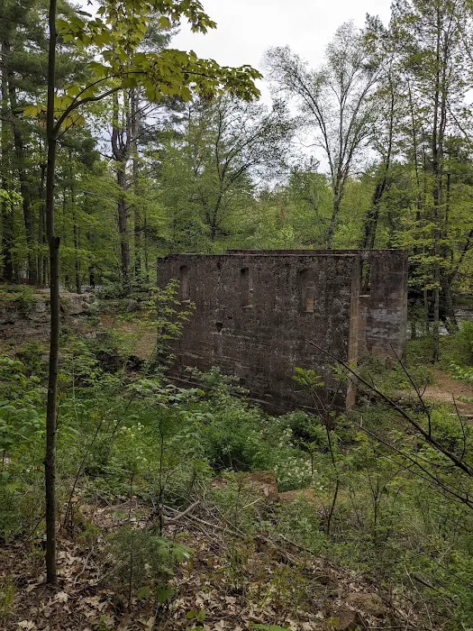 Banning State Park Campground Picture 6