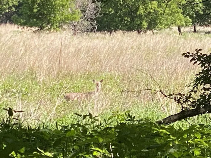 Oak Grove County Park (with State Lands) Picture 3