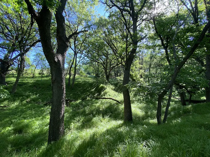 Oak Grove County Park (with State Lands) Picture 5