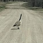 Big Sioux Rec Area Campground