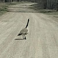 Big Sioux Rec Area Campground ico