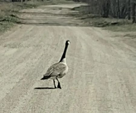 Big Sioux Rec Area Campground