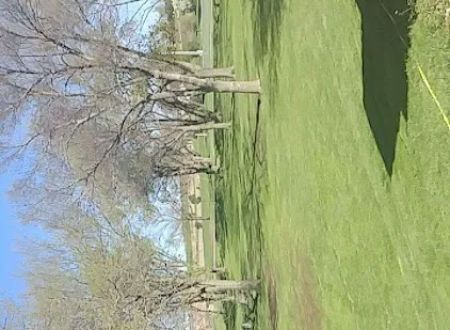 Merrill Community Park