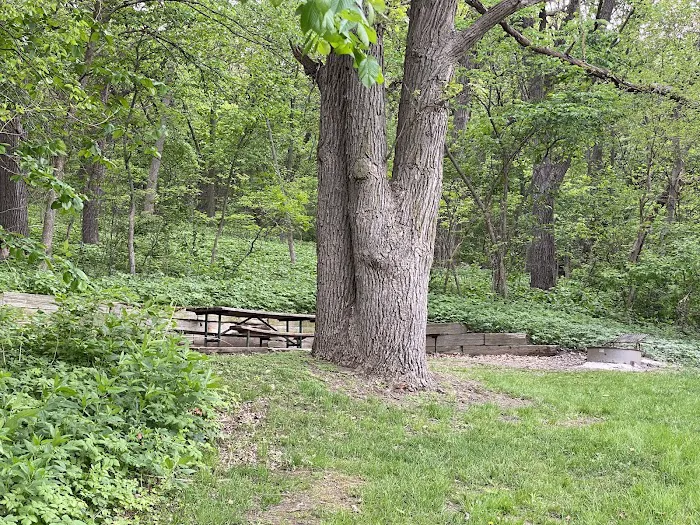 Beaver Creek Campground Picture 8