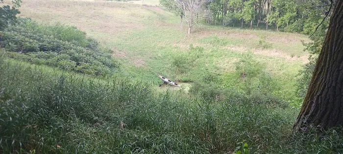 Beaver Creek Campground Picture 1