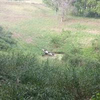 Beaver Creek Campground ico