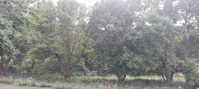 Beaver Creek Campground Picture 3
