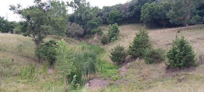 Beaver Creek Campground Picture 5