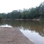 Boynton Landing
