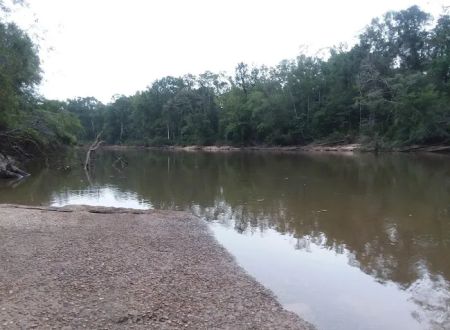 Boynton Landing
