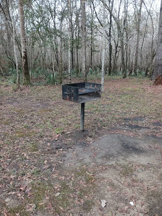 Lost Lake Campsite Picture 10
