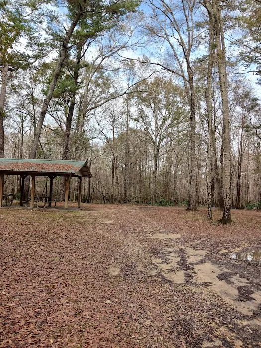 Lost Lake Campsite Picture 6