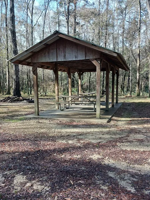 Lost Lake Campsite Picture 7