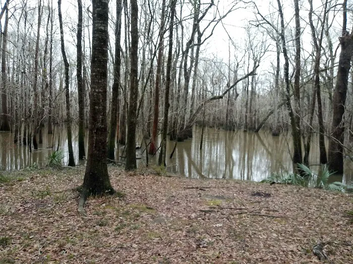 Lost Lake Campsite Picture 5