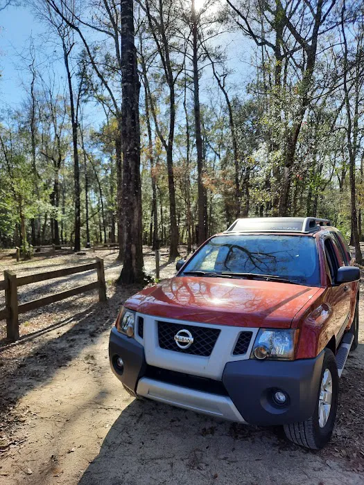 Dead River Landing Campground Picture 6