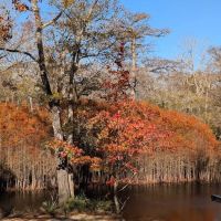 Dead River Landing Campground ico